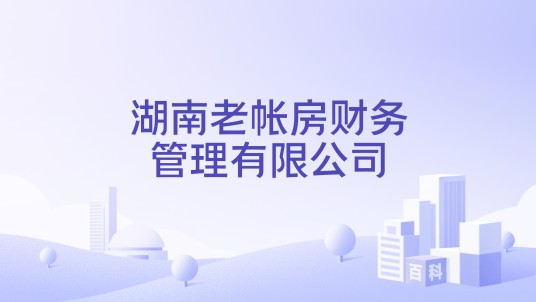 湖南老账房财务管理集团有限公司