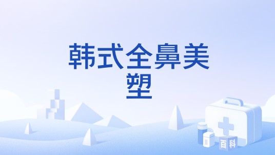 韩式全鼻美塑