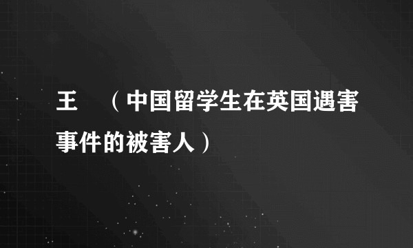 王喆（中国留学生在英国遇害事件的被害人）