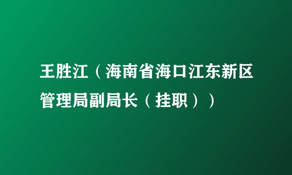 王胜江（海南省海口江东新区管理局副局长（挂职））
