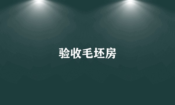 验收毛坯房