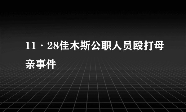 11·28佳木斯公职人员殴打母亲事件