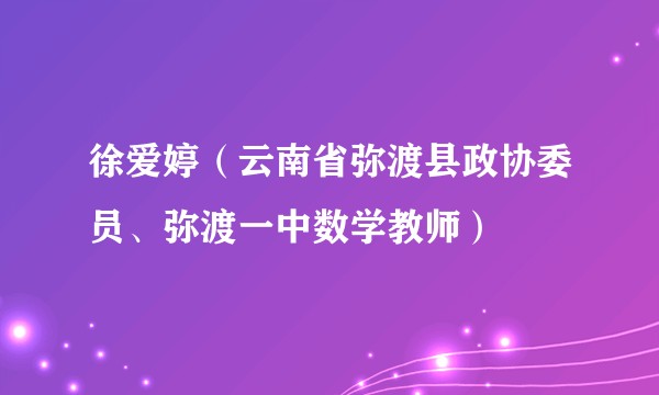 徐爱婷（云南省弥渡县政协委员、弥渡一中数学教师）