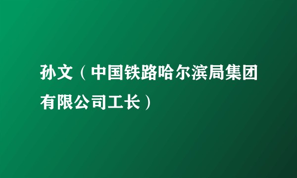 孙文（中国铁路哈尔滨局集团有限公司工长）
