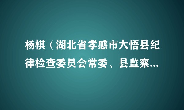 杨棋（湖北省孝感市大悟县纪律检查委员会常委、县监察委员会委员）