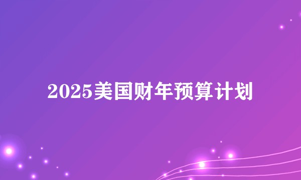 2025美国财年预算计划
