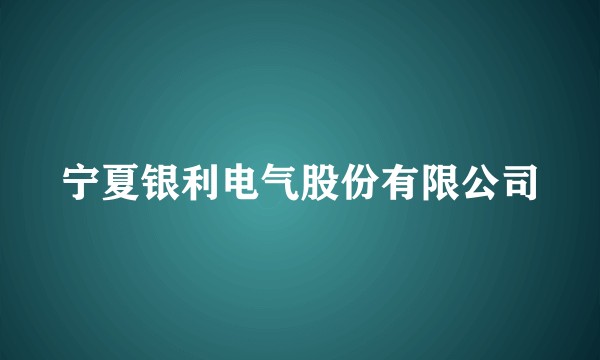 宁夏银利电气股份有限公司