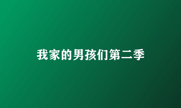 我家的男孩们第二季