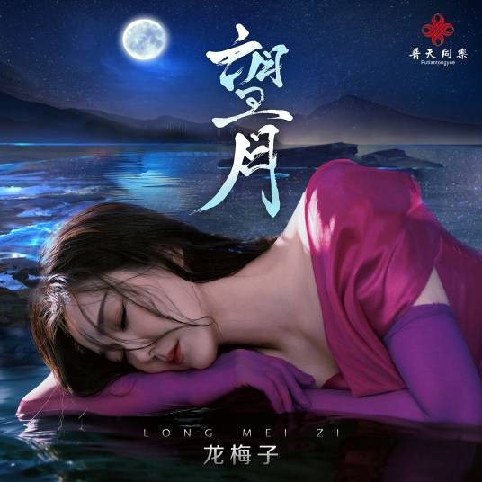 望月（2024年龙梅子演唱的歌曲）