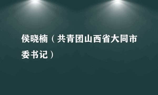 侯晓楠（共青团山西省大同市委书记）