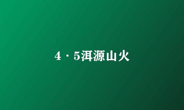 4·5洱源山火