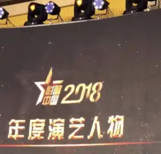 影响中国2018年度人物