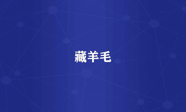 藏羊毛
