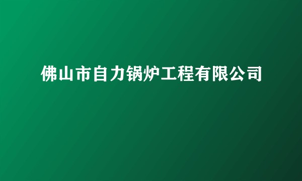 佛山市自力锅炉工程有限公司