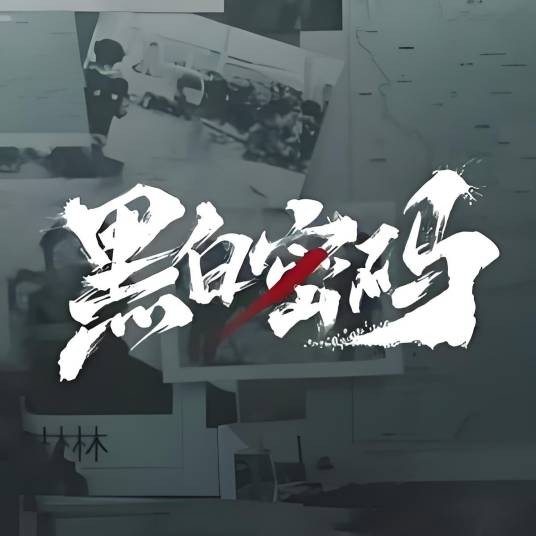 黑白密码(热播版