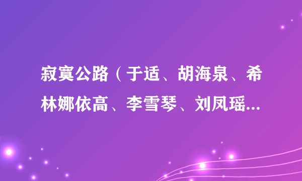 寂寞公路（于适、胡海泉、希林娜依高、李雪琴、刘凤瑶演唱的歌曲）