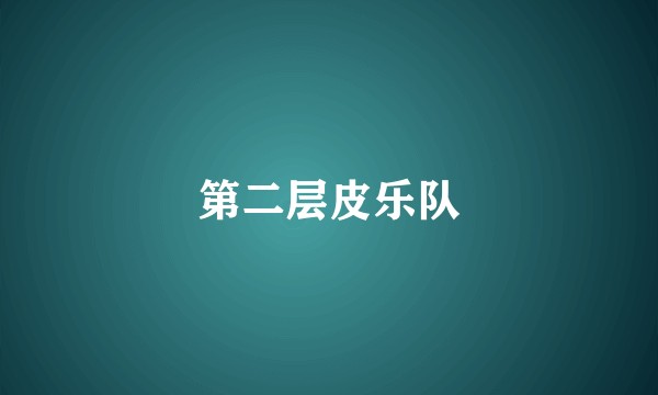 第二层皮乐队