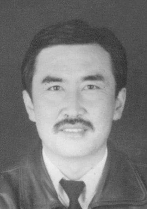 布林（中国作家）