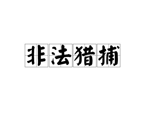 非法猎捕