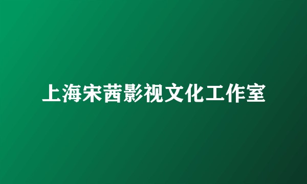 上海宋茜影视文化工作室