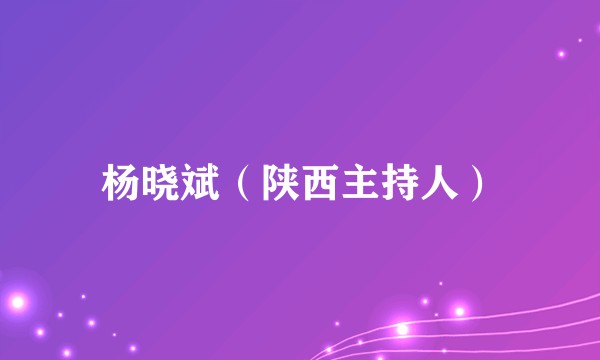 杨晓斌（陕西主持人）
