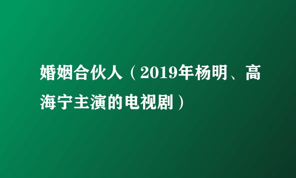 婚姻合伙人（2019年杨明、高海宁主演的电视剧）
