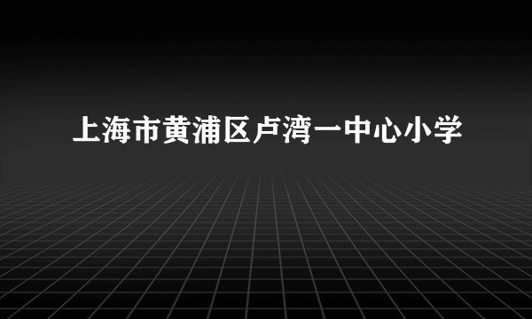 上海市黄浦区卢湾一中心小学