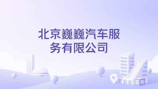 北京巍巍汽车服务有限公司