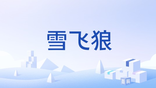 雪飞狼