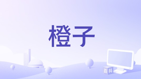 橙子（2016年电影）