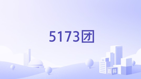 5173团