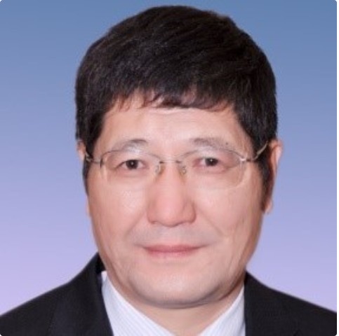 高岩（上海理工大学系统科学系教授）