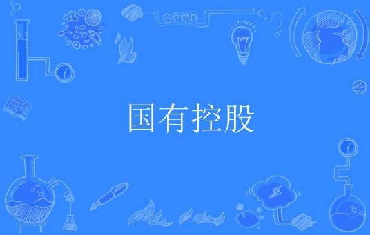 国有控股