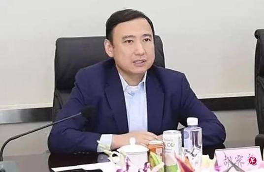 胡霁光