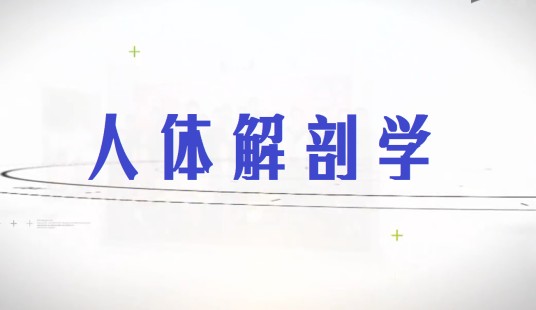 人体解剖学（中国医科大学建设的慕课）