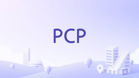 PCP（赴美接受大学预备教育的海外学习项目）