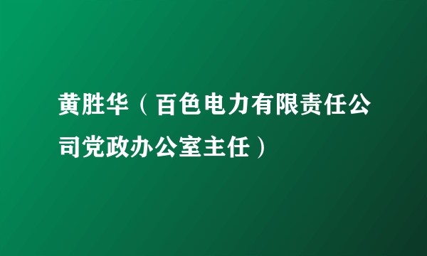 黄胜华(百色电力有限责任公司党政办公室主任)
