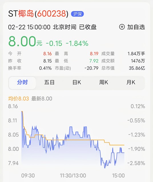 海南椰岛[600238]