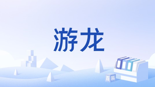 游龙（货币）