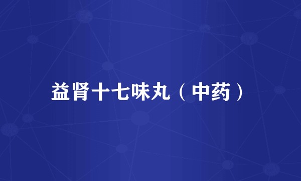 益肾十七味丸（中药）