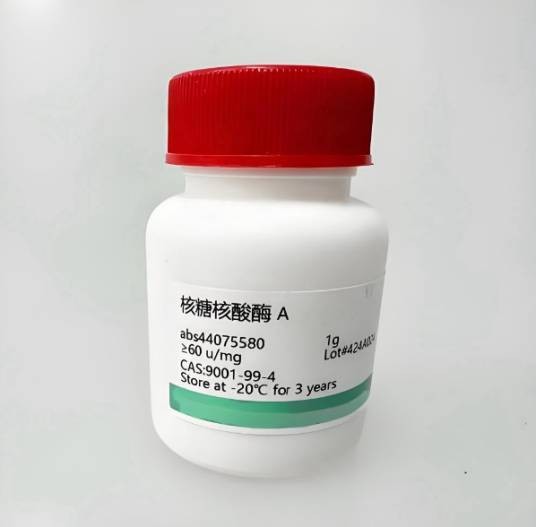 核糖核酸酶A（内切核糖核酸酶）