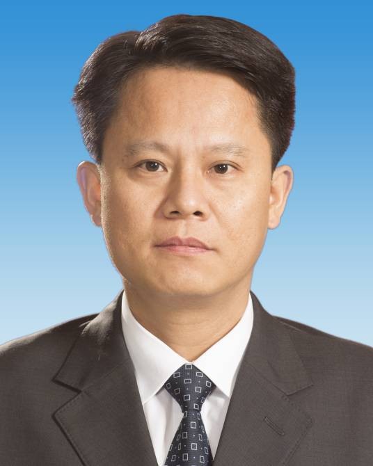 王勇（广东省佛山市南海区委书记，区人武部党委第一书记）