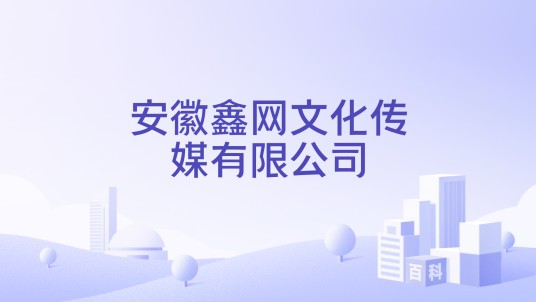 安徽鑫网文化传媒有限公司