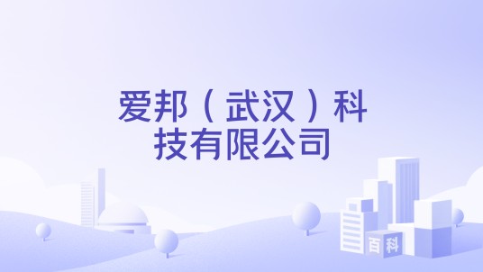 爱邦（武汉）科技有限公司