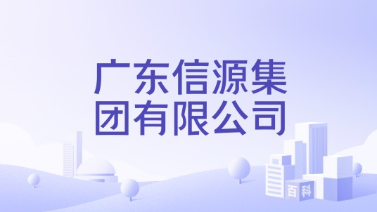 广东信源集团有限公司