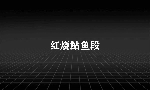 红烧鲇鱼段