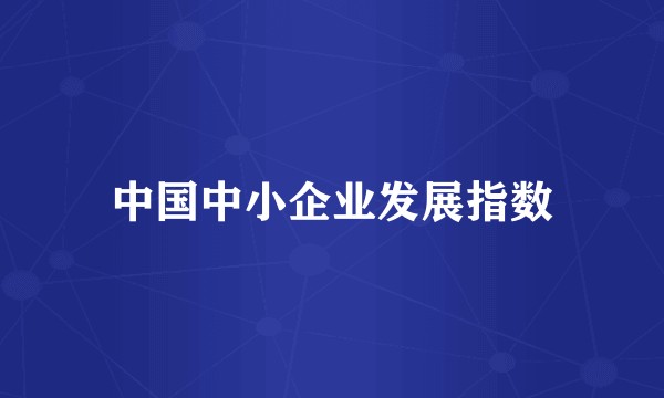 中国中小企业发展指数