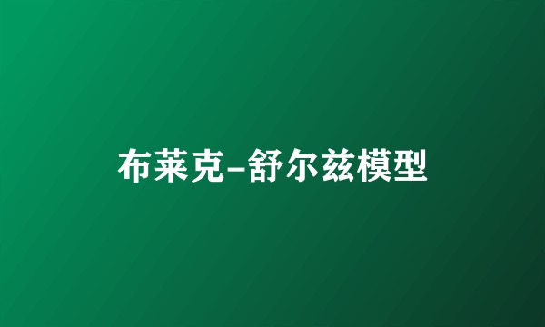 布莱克-舒尔兹模型