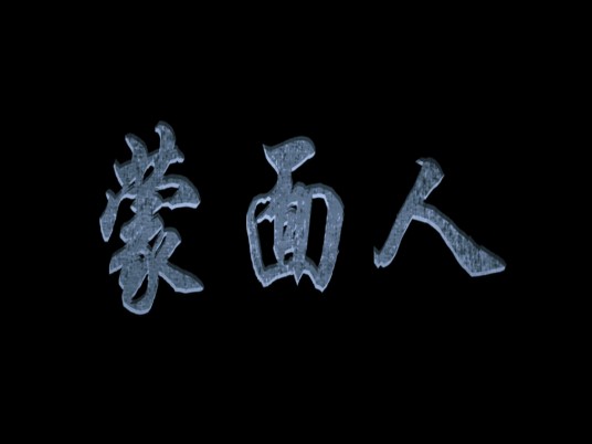 蒙面人（2010年田少波执导的电影）