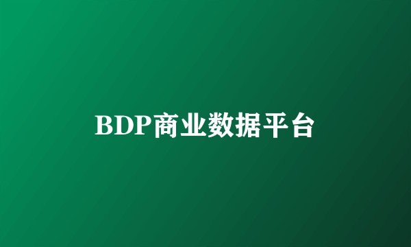 BDP商业数据平台